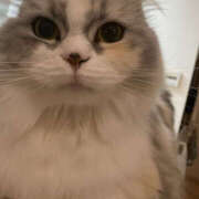 ヒメ日記 2025/11/15 12:40 投稿 たまき 奥鉄オクテツ奈良