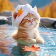 ヒメ日記 2025/11/28 12:35 投稿 たまき 奥鉄オクテツ奈良