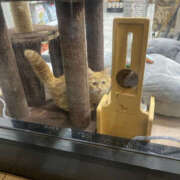 ヒメ日記 2025/12/01 18:20 投稿 たまき 奥鉄オクテツ奈良