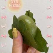 ヒメ日記 2025/12/02 09:35 投稿 たまき 奥鉄オクテツ奈良