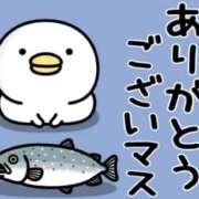 ヒメ日記 2025/12/08 13:50 投稿 たまき 奥鉄オクテツ奈良