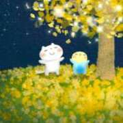 ヒメ日記 2025/12/11 16:10 投稿 たまき 奥鉄オクテツ奈良