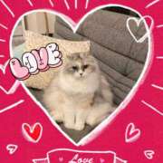 ヒメ日記 2025/12/12 10:15 投稿 たまき 奥鉄オクテツ奈良