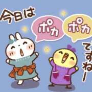 ヒメ日記 2025/12/20 11:45 投稿 たまき 奥鉄オクテツ奈良