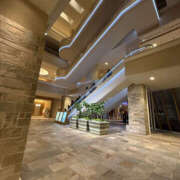 ヒメ日記 2025/12/29 09:10 投稿 たまき 奥鉄オクテツ奈良