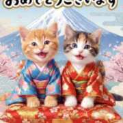 ヒメ日記 2026/01/01 00:25 投稿 たまき 奥鉄オクテツ奈良