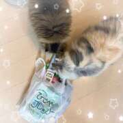 ヒメ日記 2026/01/03 20:45 投稿 たまき 奥鉄オクテツ奈良