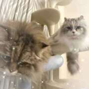 ヒメ日記 2026/01/23 23:15 投稿 たまき 奥鉄オクテツ奈良