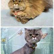 ヒメ日記 2026/01/29 11:40 投稿 たまき 奥鉄オクテツ奈良