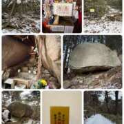 ヒメ日記 2026/02/03 18:50 投稿 たまき 奥鉄オクテツ奈良