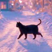 ヒメ日記 2026/02/05 19:05 投稿 たまき 奥鉄オクテツ奈良