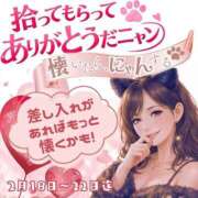 ヒメ日記 2026/02/13 16:50 投稿 たまき 奥鉄オクテツ奈良