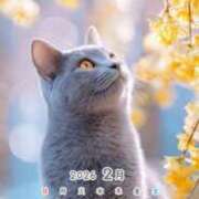 ヒメ日記 2026/02/15 11:30 投稿 たまき 奥鉄オクテツ奈良