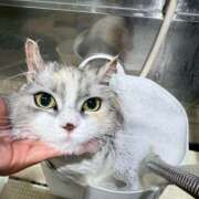 ヒメ日記 2026/02/17 19:45 投稿 たまき 奥鉄オクテツ奈良