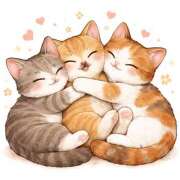 ヒメ日記 2026/02/19 18:25 投稿 たまき 奥鉄オクテツ奈良