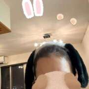 ヒメ日記 2026/02/20 11:25 投稿 たまき 奥鉄オクテツ奈良