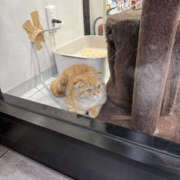 ヒメ日記 2026/02/26 17:20 投稿 たまき 奥鉄オクテツ奈良