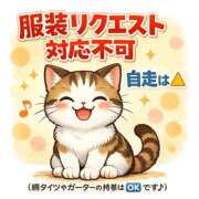 ヒメ日記 2026/02/28 12:50 投稿 たまき 奥鉄オクテツ奈良