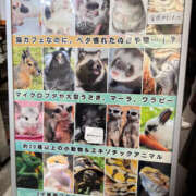 ヒメ日記 2026/03/01 13:30 投稿 たまき 奥鉄オクテツ奈良