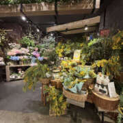 ヒメ日記 2026/03/07 12:50 投稿 たまき 奥鉄オクテツ奈良