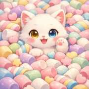 ヒメ日記 2026/03/10 12:00 投稿 たまき 奥鉄オクテツ奈良