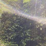 ヒメ日記 2026/03/17 08:40 投稿 たまき 奥鉄オクテツ奈良