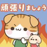 ヒメ日記 2026/03/30 14:25 投稿 たまき 奥鉄オクテツ奈良