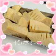 ヒメ日記 2026/04/03 07:50 投稿 たまき 奥鉄オクテツ奈良