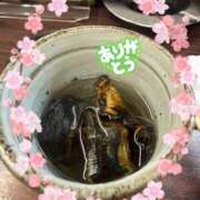 ヒメ日記 2026/04/04 12:25 投稿 たまき 奥鉄オクテツ奈良