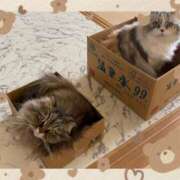 ヒメ日記 2026/04/04 15:40 投稿 たまき 奥鉄オクテツ奈良