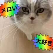 ヒメ日記 2026/04/29 15:35 投稿 たまき 奥鉄オクテツ奈良