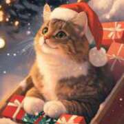 ヒメ日記 2024/12/25 11:40 投稿 たまき 奥鉄オクテツ兵庫