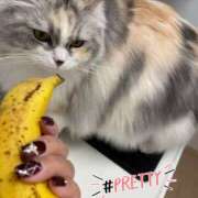 ヒメ日記 2024/12/26 15:15 投稿 たまき 奥鉄オクテツ兵庫