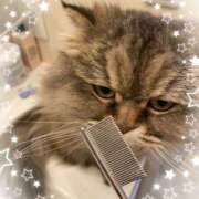 ヒメ日記 2024/12/30 13:20 投稿 たまき 奥鉄オクテツ兵庫