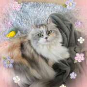 ヒメ日記 2025/01/30 13:45 投稿 たまき 奥鉄オクテツ兵庫