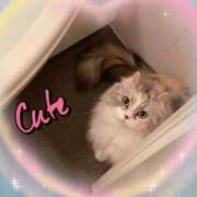 ヒメ日記 2025/02/01 11:50 投稿 たまき 奥鉄オクテツ兵庫