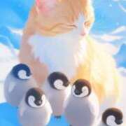 ヒメ日記 2025/02/10 13:05 投稿 たまき 奥鉄オクテツ兵庫