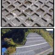 ヒメ日記 2025/02/12 18:20 投稿 たまき 奥鉄オクテツ兵庫