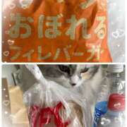 ヒメ日記 2025/02/18 14:50 投稿 たまき 奥鉄オクテツ兵庫