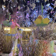 ヒメ日記 2025/03/19 00:15 投稿 たまき 奥鉄オクテツ兵庫