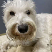 ヒメ日記 2025/03/20 17:40 投稿 たまき 奥鉄オクテツ兵庫