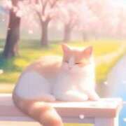 ヒメ日記 2025/04/08 10:45 投稿 たまき 奥鉄オクテツ兵庫