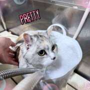 ヒメ日記 2025/05/18 16:20 投稿 たまき 奥鉄オクテツ兵庫