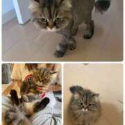 ヒメ日記 2025/05/20 19:45 投稿 たまき 奥鉄オクテツ兵庫