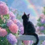 ヒメ日記 2025/06/04 10:30 投稿 たまき 奥鉄オクテツ兵庫