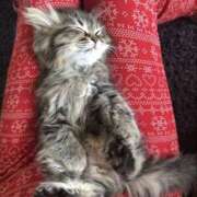 ヒメ日記 2025/06/10 13:55 投稿 たまき 奥鉄オクテツ兵庫