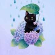 ヒメ日記 2025/06/14 08:50 投稿 たまき 奥鉄オクテツ兵庫