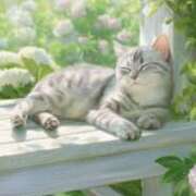 ヒメ日記 2025/06/17 08:40 投稿 たまき 奥鉄オクテツ兵庫