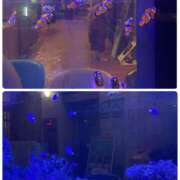 ヒメ日記 2025/08/07 18:55 投稿 たまき 奥鉄オクテツ兵庫