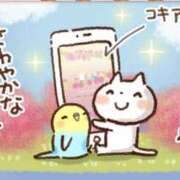 ヒメ日記 2025/09/09 13:10 投稿 たまき 奥鉄オクテツ兵庫